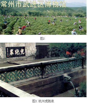 茶与茶文化