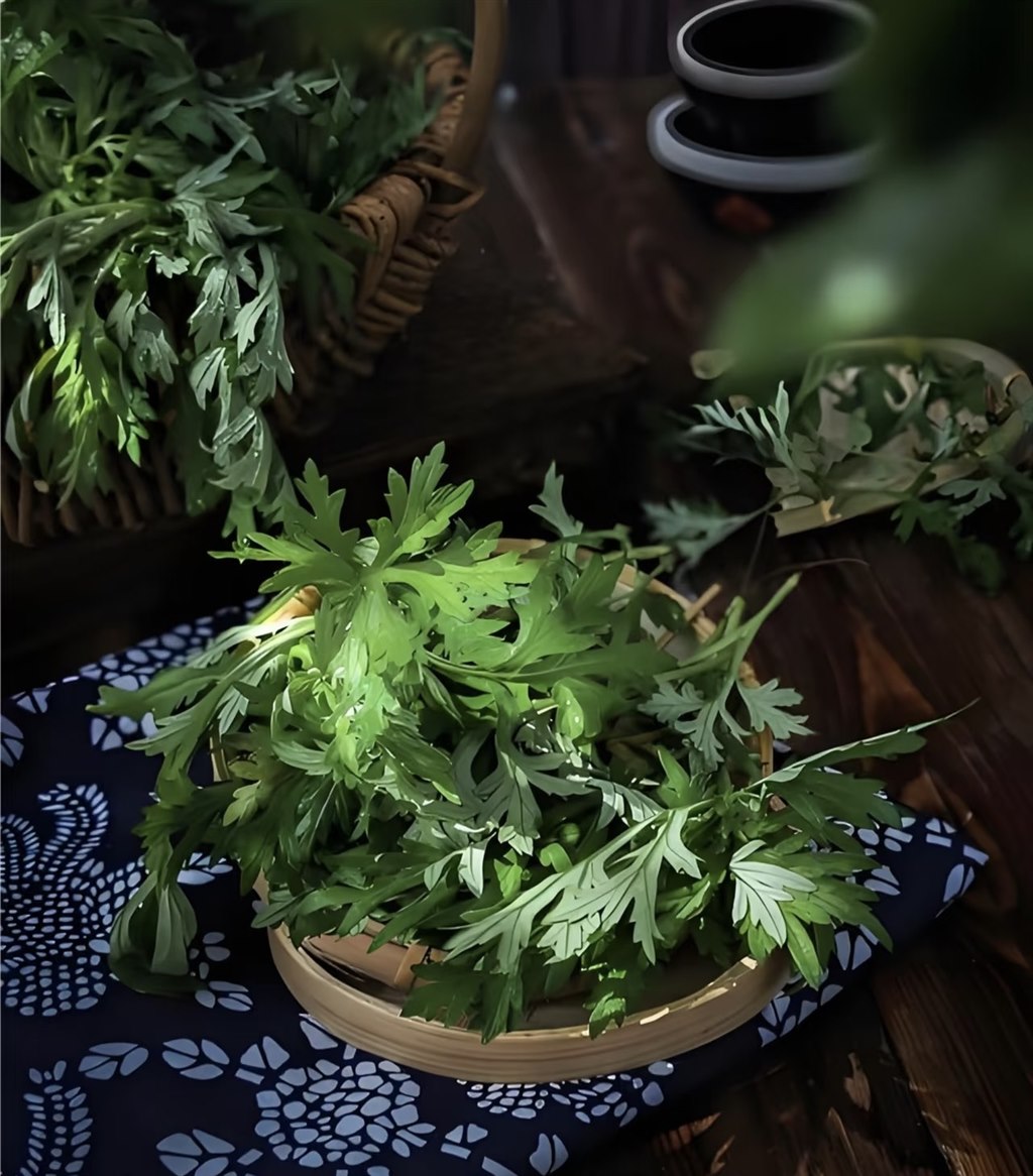 图片1.jpg 图片1.jpg